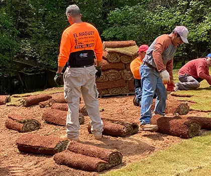 El Maguey crew laying new sod in a backyard