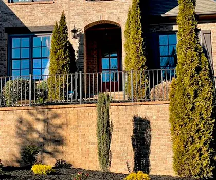 Row of tall evergreens planted along a brick and stone house